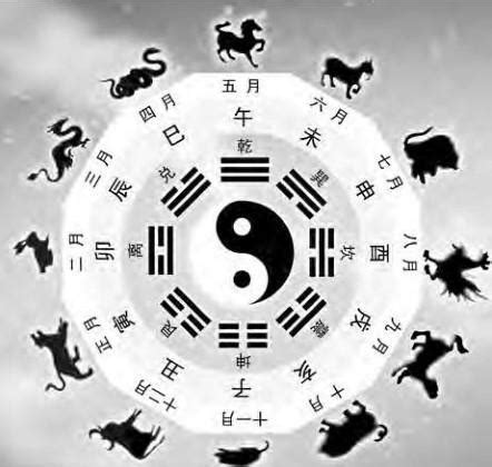 天干 生肖|天幹地支